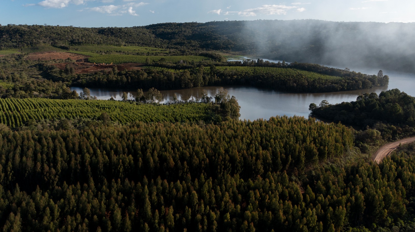 Dia da Árvore: Irani mantém mais de 16 mil hectares de áreas de conservação