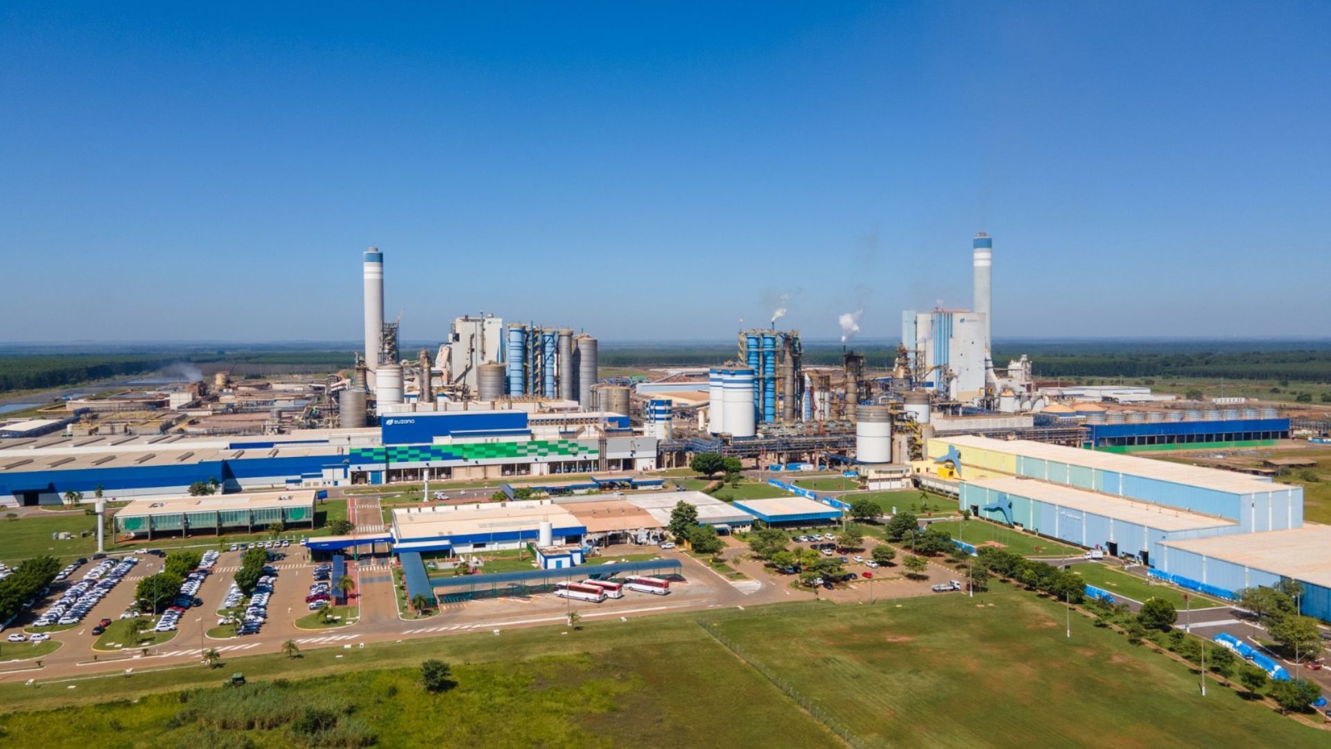 14ª Semana de Celulose e Papel de Três Lagoas debate caminhos para competitividade e sustentabilidade na região