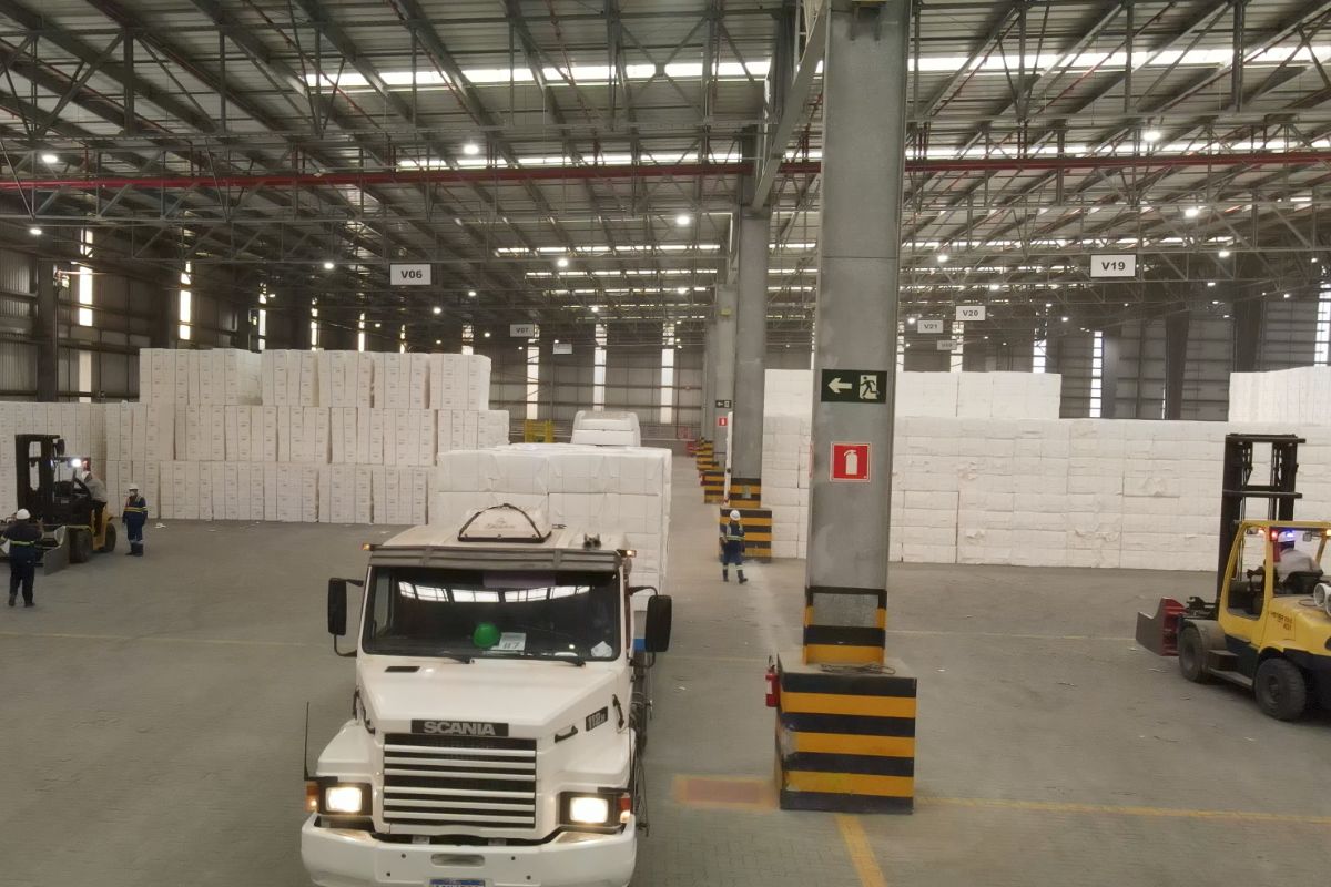Suzano bate recorde do setor em Santos e embarca 39,1 mil toneladas de celulose em 24 horas
