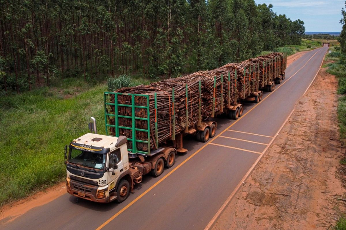 Suzano tem 11 processos seletivos abertos em Ribas do Rio Pardo e Três Lagoas (MS)