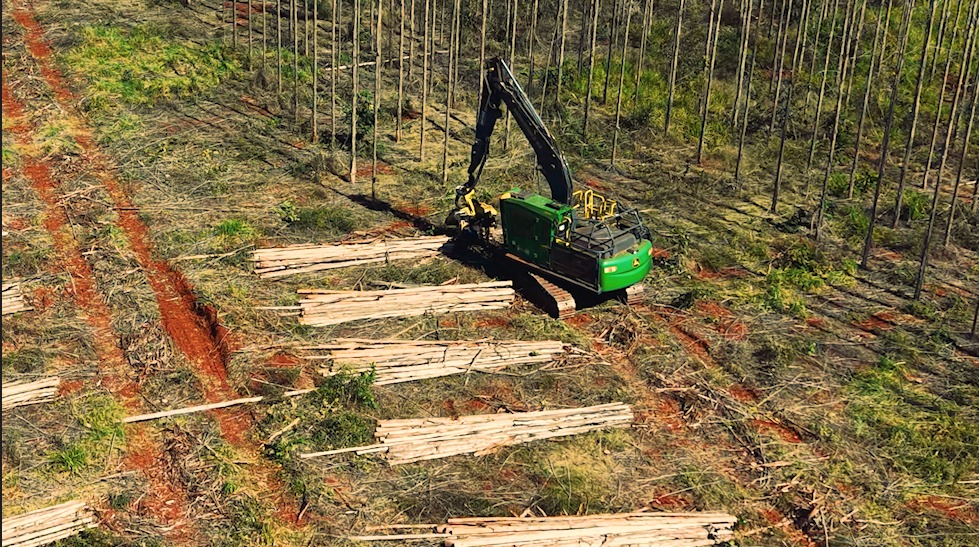 Arauco abre inscrições para qualificação de operadores e mecânicos de máquinas florestais em seis cidades de MS