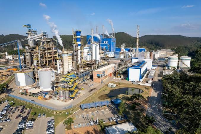 Suzano vende 12,7 milhões de toneladas de celulose pela primeira vez na história