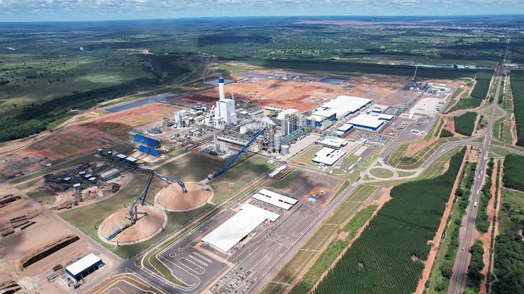 Suzano abre 11 vagas de emprego para as unidades de Ribas do Rio Pardo e Três Lagoas (MS)